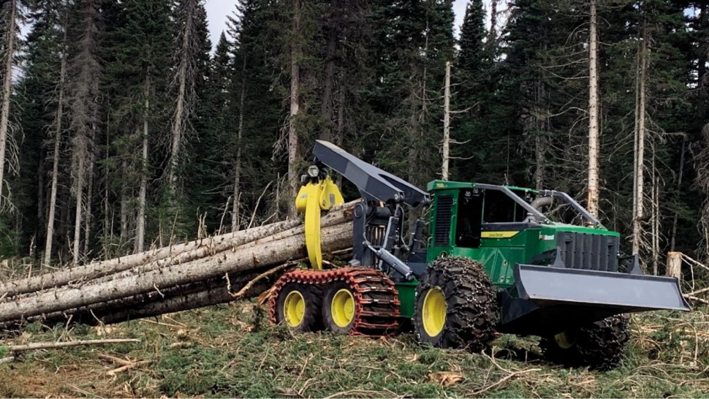 Forestal