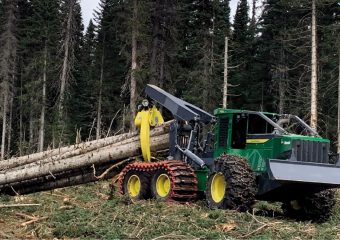 Forestal